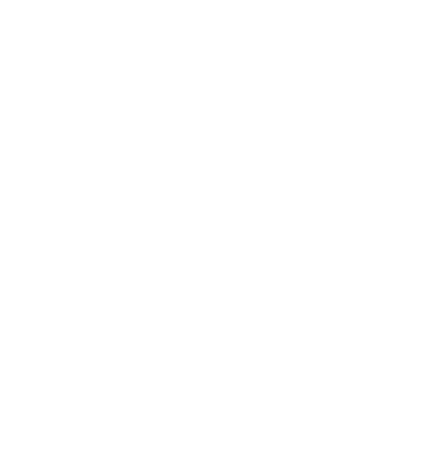 Globe Image